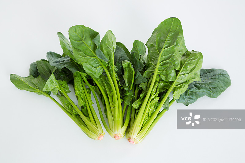 菠菜图片素材