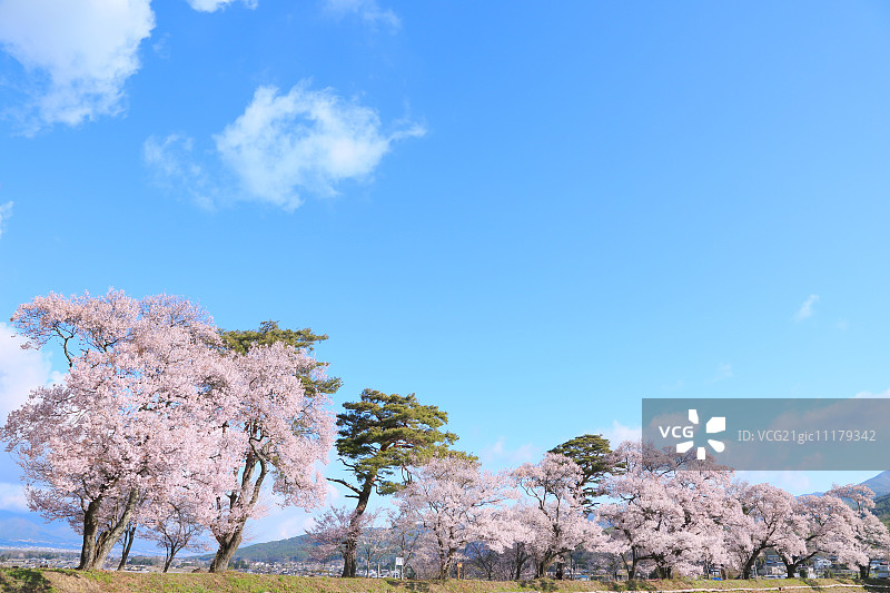 日本长野Prefecture,图片素材