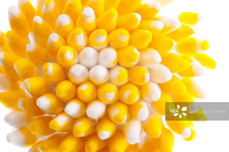 黄色棉花蕾图片素材