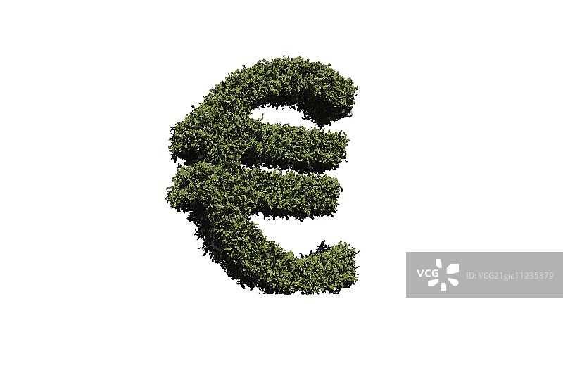白色背景上由树叶制成的欧元符号图片素材