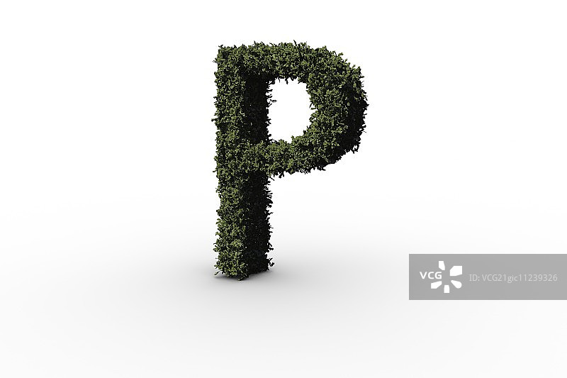 白色背景上的树叶大写字母P图片素材