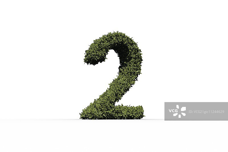 白色背景上两件树叶制品图片素材