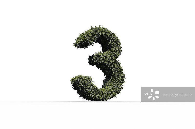 白色背景上的三片叶子图片素材