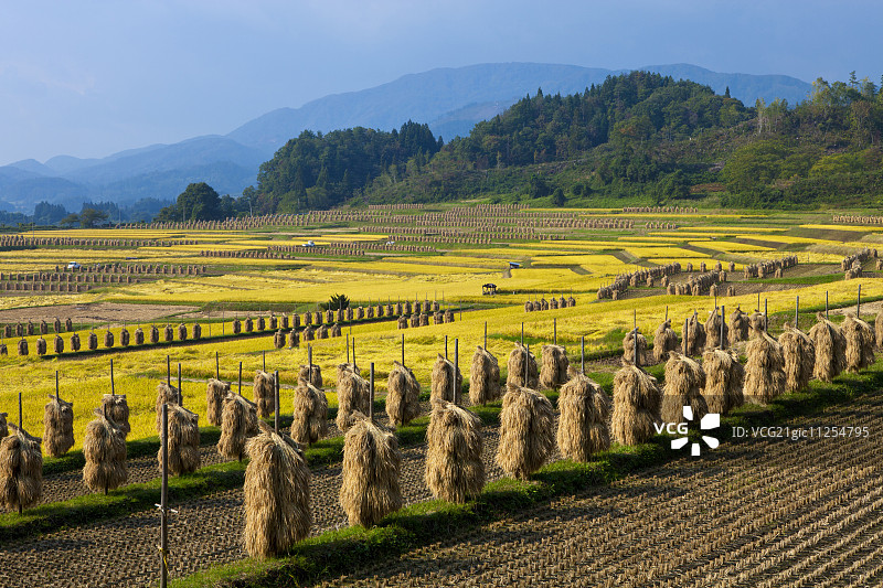 日本山形县图片素材