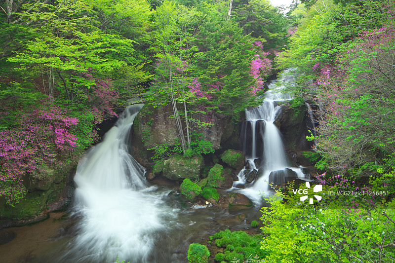 日本栃木县图片素材
