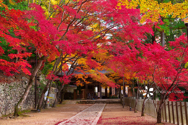滋贺县, 日本图片素材