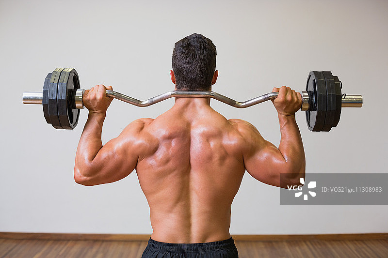 一位在健身房举杠铃的健壮男人背影图片素材