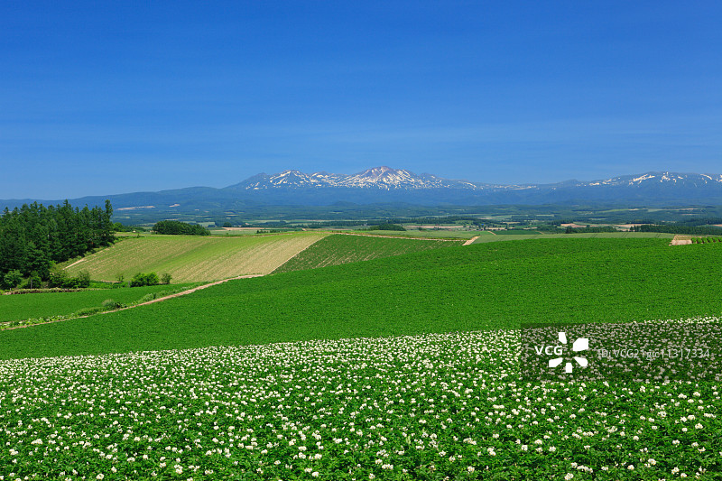 北海道,日本图片素材