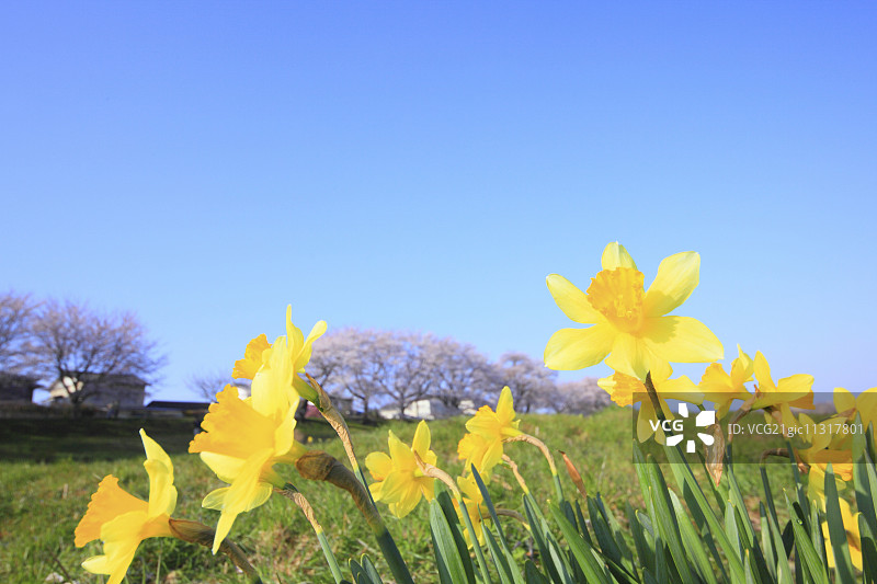日本宫城县图片素材