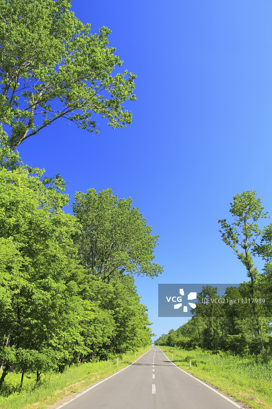 日本秋田Prefecture,图片素材