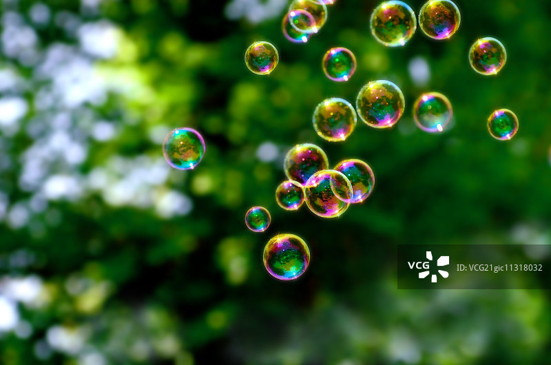 公园里的肥皂泡图片素材