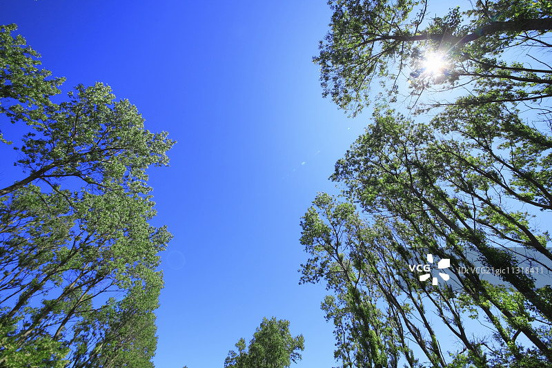 日本秋田Prefecture,图片素材