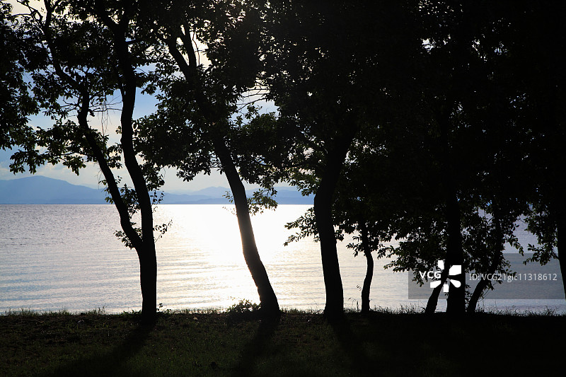 日本滋贺县琵琶湖的树木轮廓图片素材