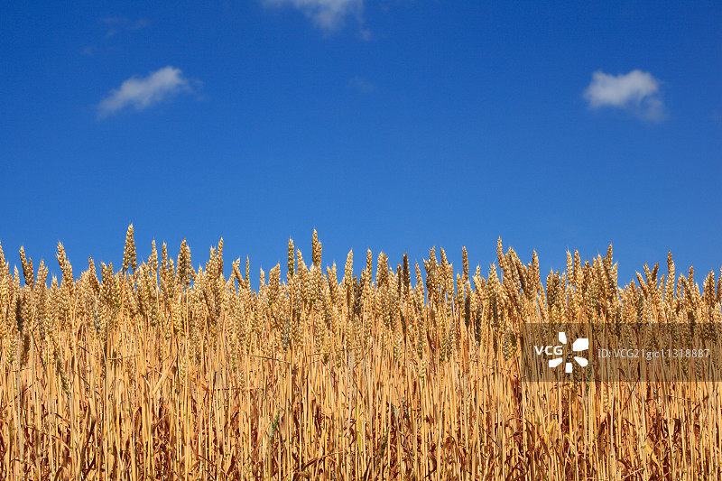 北海道,日本图片素材