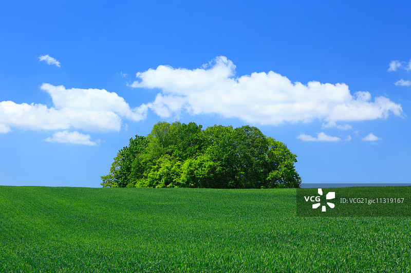 北海道,日本图片素材