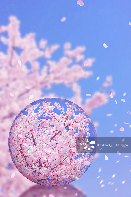 玻璃球和樱花图片素材