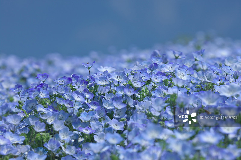 日本茨城县图片素材