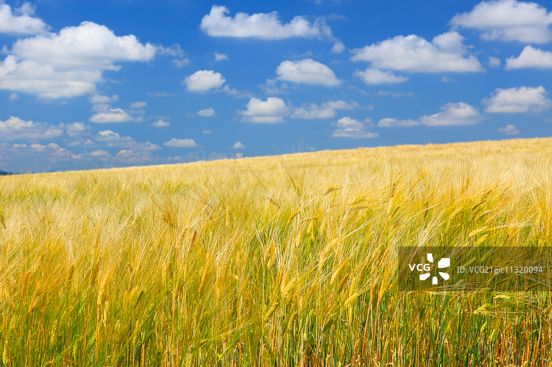 北海道,日本图片素材