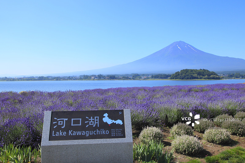 日本山梨县富士五湖图片素材
