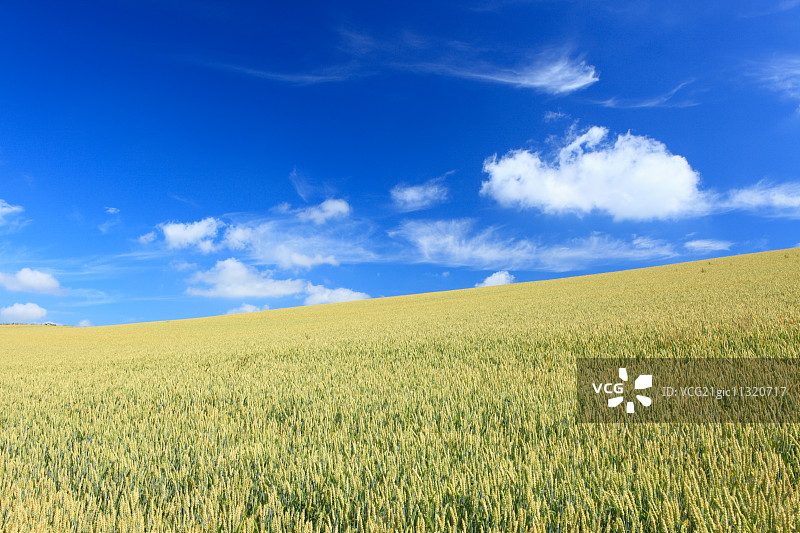 北海道,日本图片素材