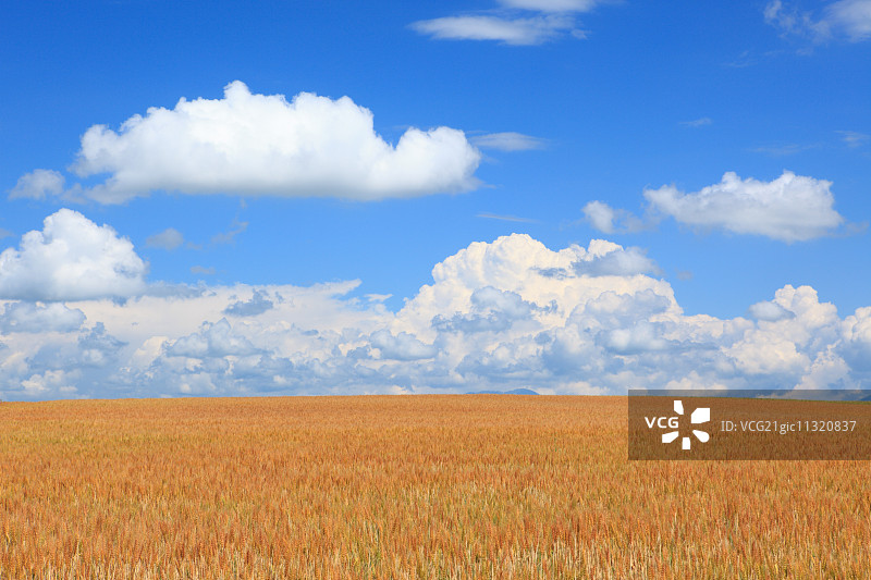 北海道,日本图片素材