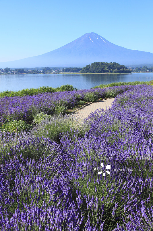 日本山梨县富士五湖图片素材