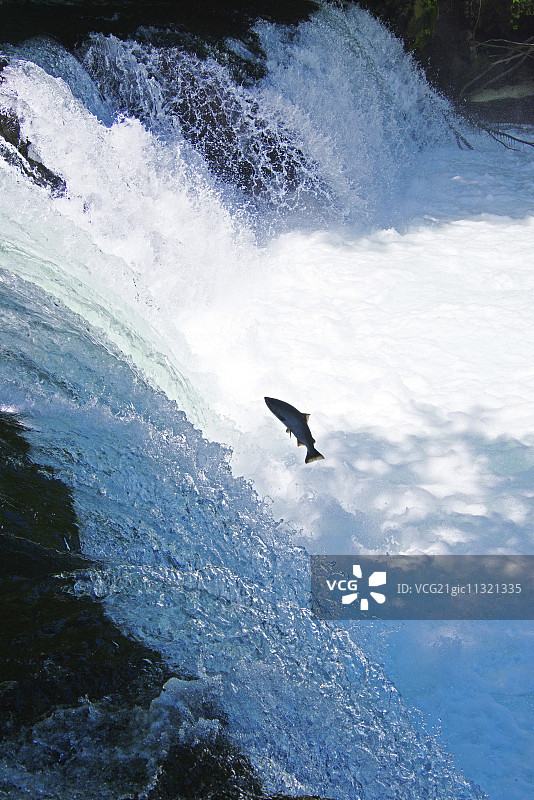 北海道,日本图片素材