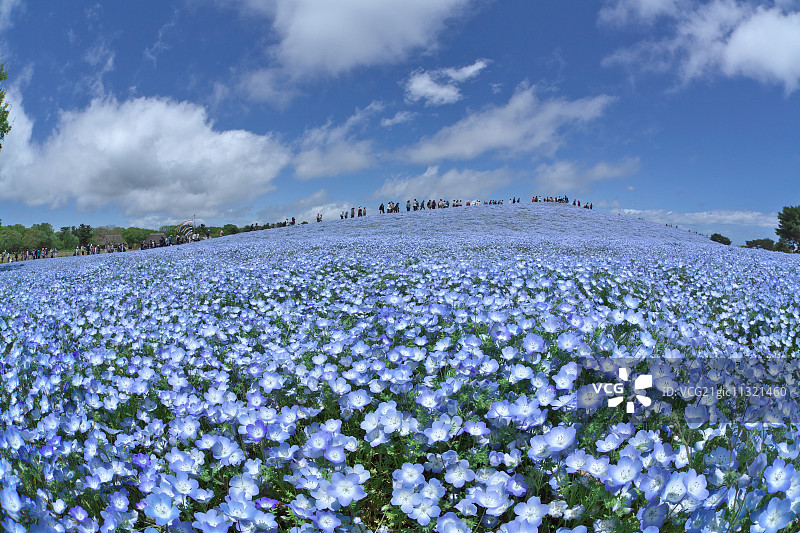 日本茨城县图片素材