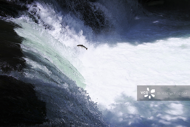 北海道,日本图片素材