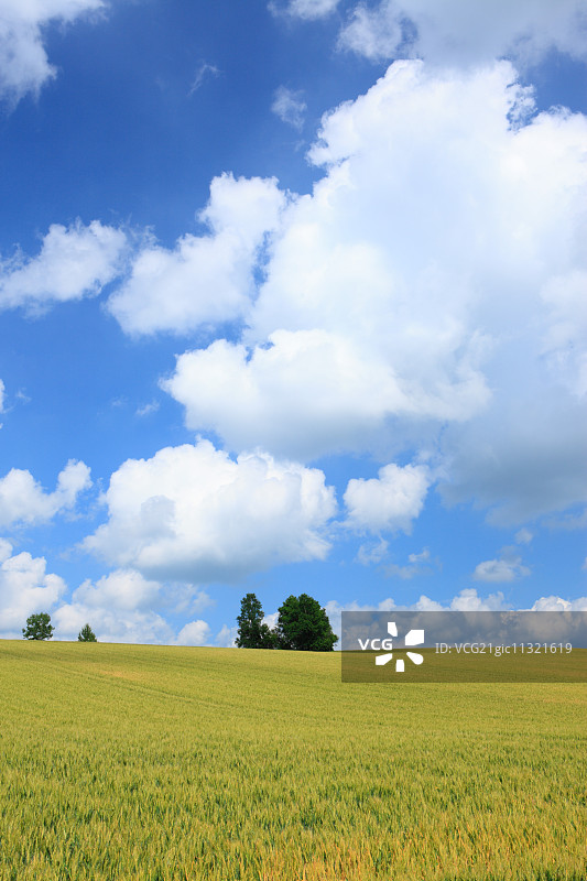 北海道,日本图片素材