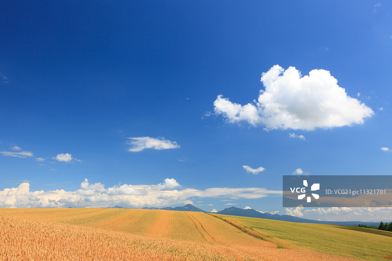 北海道,日本图片素材