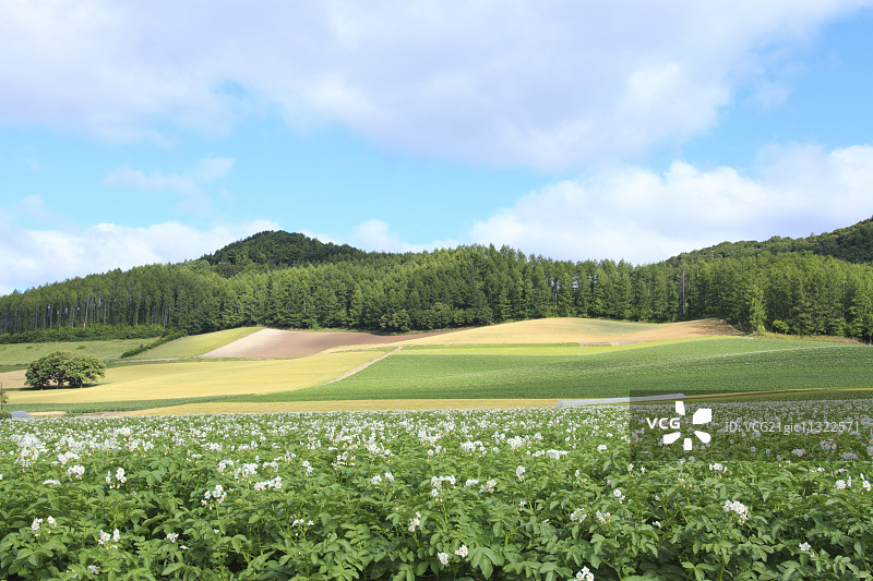 北海道,日本图片素材