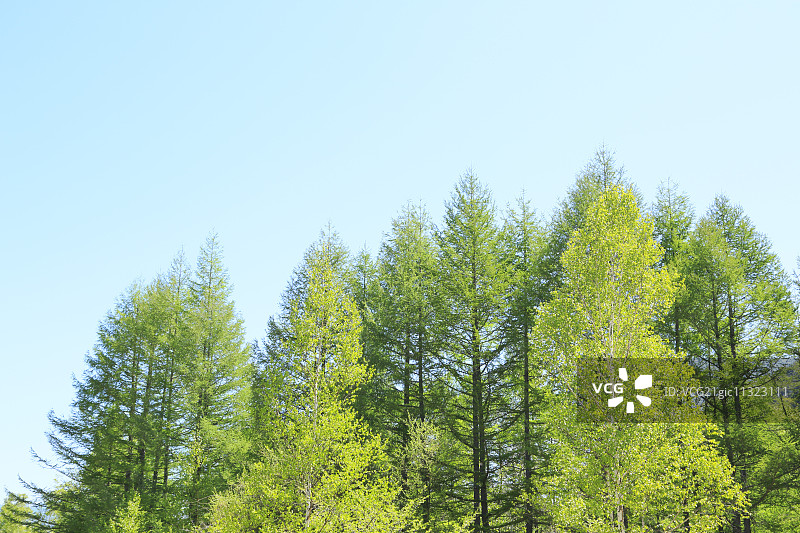 日本长野Prefecture,图片素材