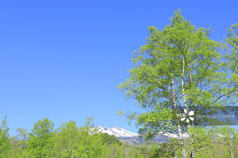 日本长野Prefecture,图片素材