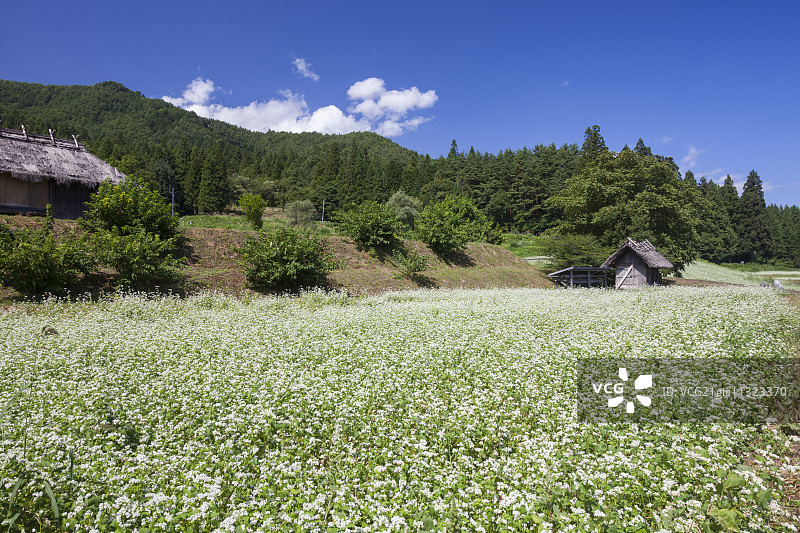 日本长野Prefecture,图片素材