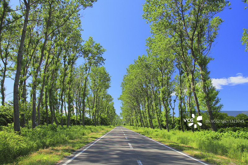 日本秋田Prefecture,图片素材