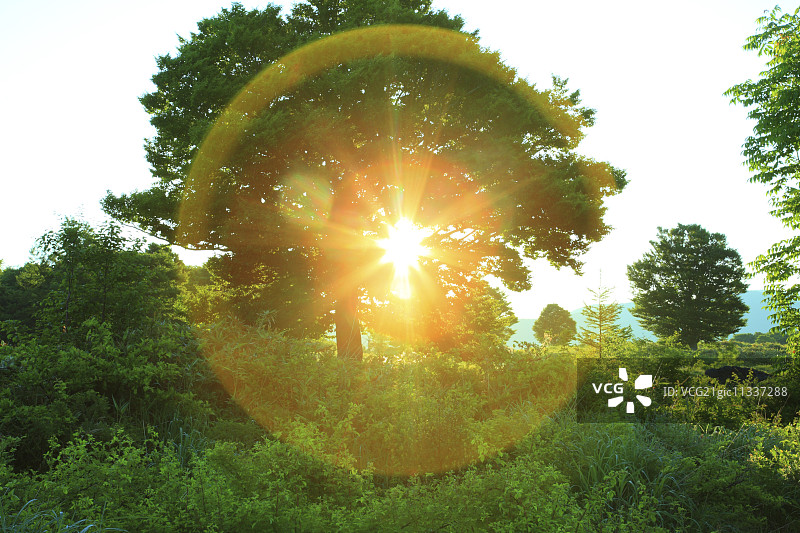 日本青森县图片素材