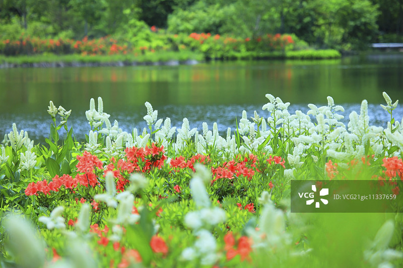 日本秋田Prefecture,图片素材