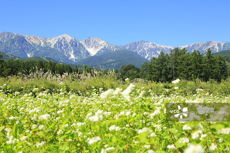 日本长野Prefecture,图片素材
