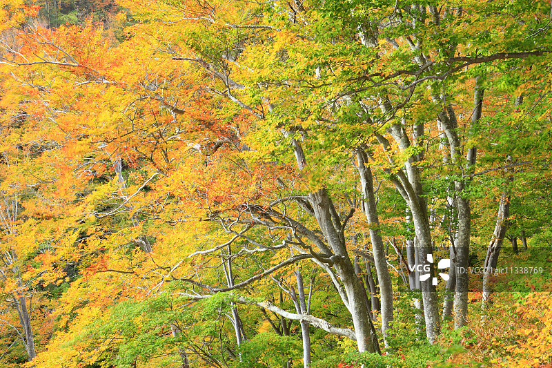 日本长野Prefecture,图片素材