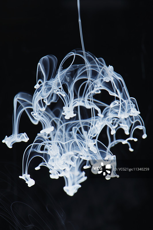 水下白色液体图片素材