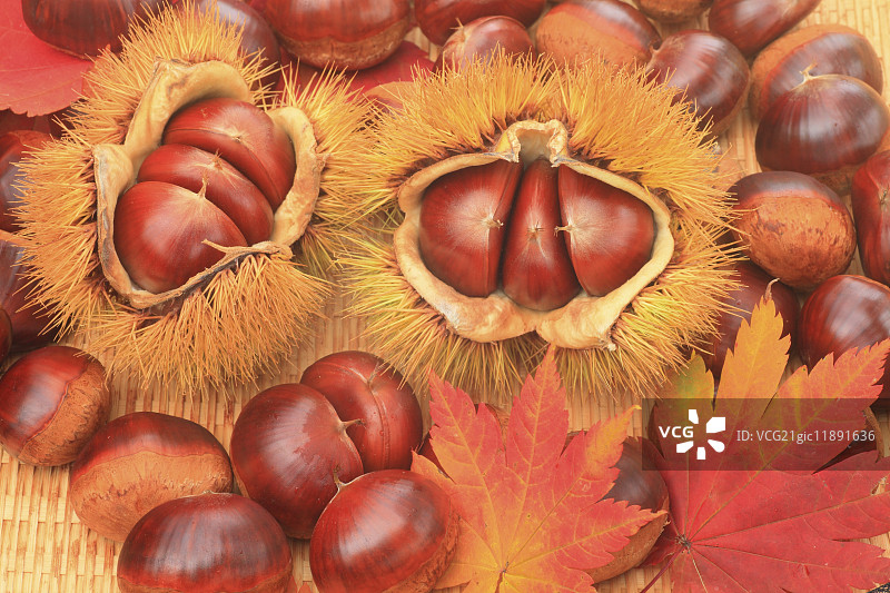 栗子图片素材