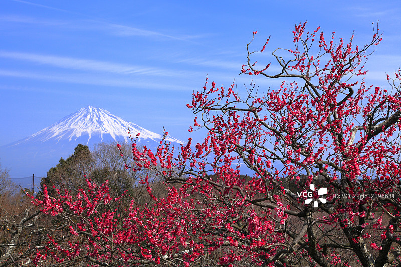 日本静冈县图片素材