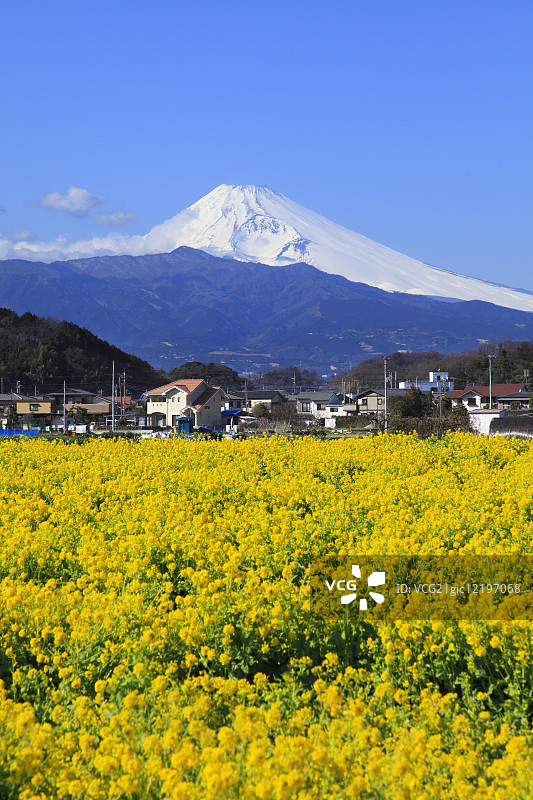日本静冈县图片素材