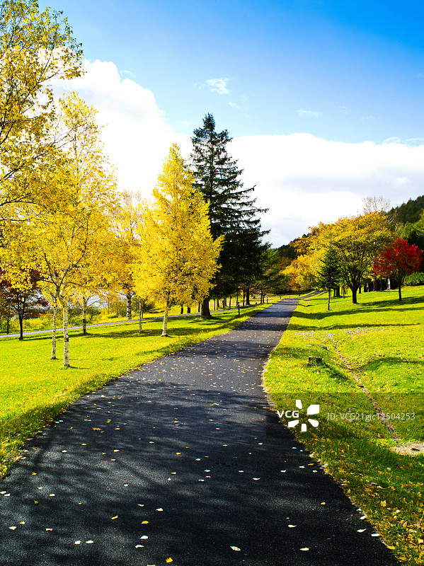 北海道,日本图片素材