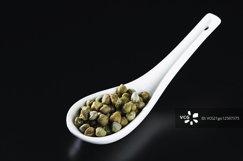 续随子图片素材