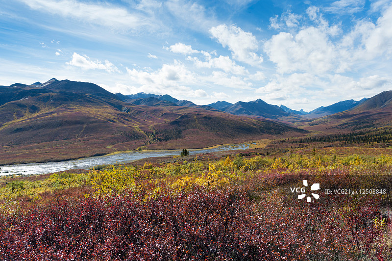 加拿大图片素材