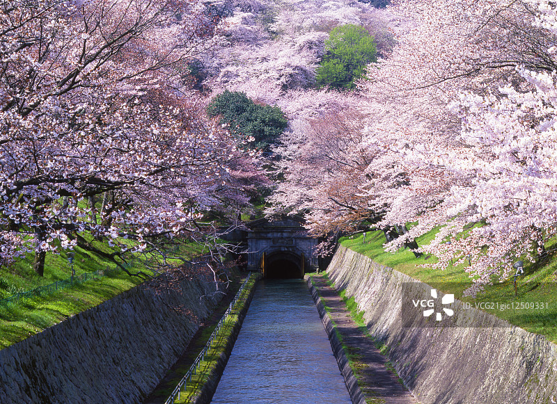 志贺县,日本图片素材