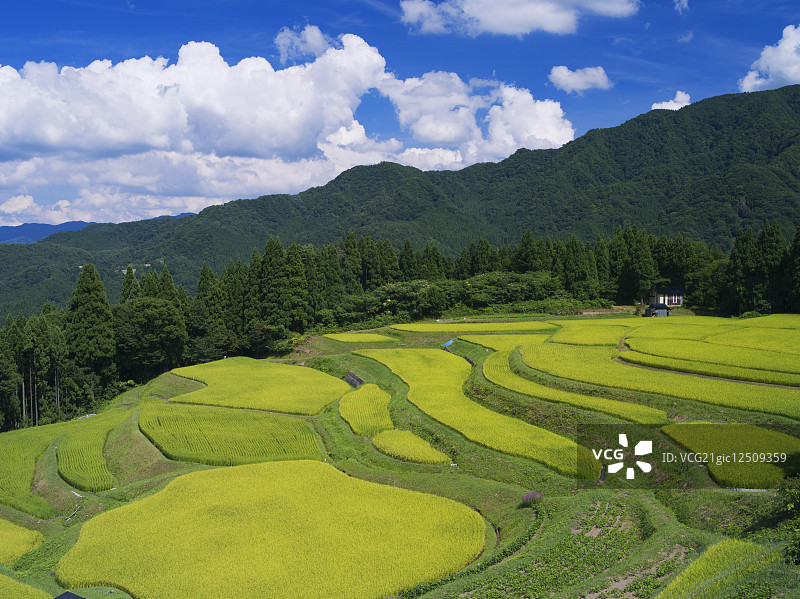 日本兵库县图片素材