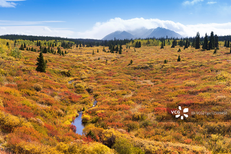 加拿大图片素材